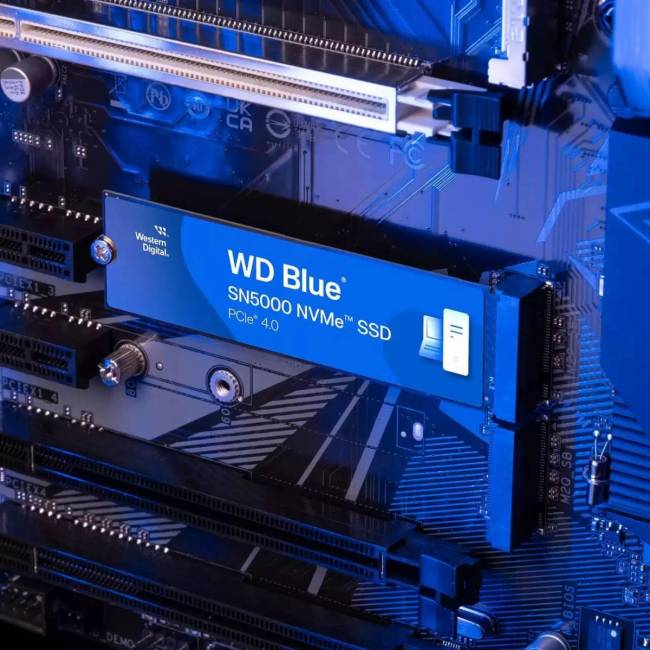 Накопитель SSD WD WDS100T4B0E — для бизнеса и офиса
