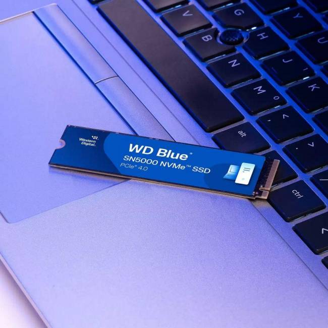 Накопитель SSD WD WDS100T4B0E — для бизнеса и офиса