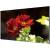Тонкошовная ЖК панель 49", 1080P, 500 кд/м2, шов: 3.5 мм, входы: VGA/DVI/DP/HDMI, выходы: DP/HDMI, поддержка 4K Hikvision DS-D2049LU-Y — для бизнеса и офиса Тонкошовная ЖК панель 49", 1080P, 500 кд/м2, шов: 3.5 мм, входы: VGA/DVI/DP/HDMI, выходы: DP/HDMI, поддержка 4K Hikvision DS-D2049LU-Y — для бизнеса и офиса