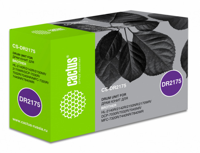 - Cactus CS-DR2175 — для бизнеса и офиса