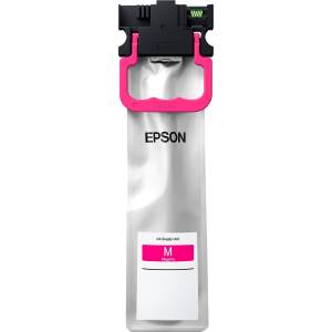 Картридж Epson C13T01C300