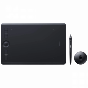 Графический планшет Wacom Intuos Pro M (Medium) (North)