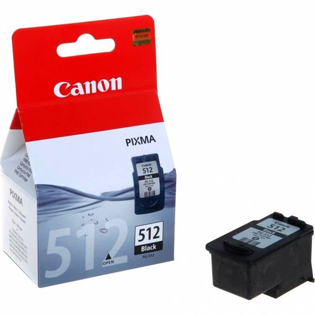 Картридж Canon PG-512 (2969B001) — для бизнеса и офиса