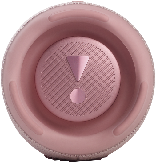 Портативные акустические системы JBL Charge 5 (JBLCHARGE5PINKAM) — для бизнеса и офиса