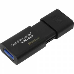 Флеш-накопитель Kingston 256GB DataTraveler 100 G3 (DT100G3/256GB)