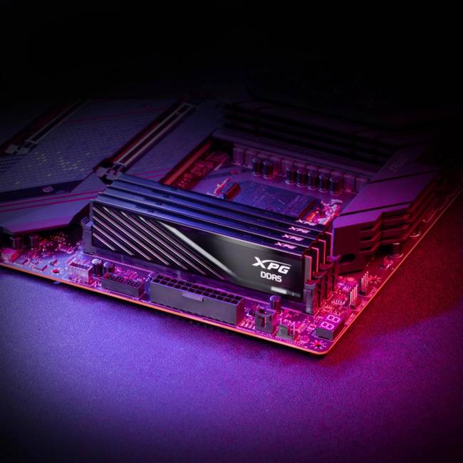 Модуль памяти ADATA AX5U6000C3616G-DTLABBK — для бизнеса и офиса Модуль памяти ADATA AX5U6000C3616G-DTLABBK — для бизнеса и офиса