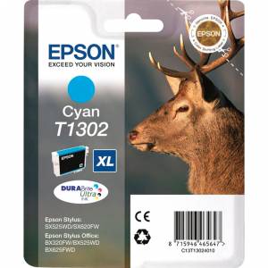 Картридж Epson C13T13024012
