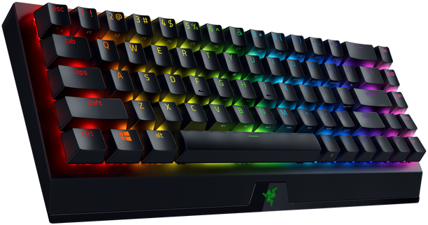 Игровая клавиатура Razer BlackWidow V3 Mini HyperSpeed (Green Switch) - Russian Layout Razer BlackWidow V3 Mini — для бизнеса и офиса Игровая клавиатура Razer BlackWidow V3 Mini HyperSpeed (Green Switch) - Russian Layout Razer BlackWidow V3 Mini — для бизнеса и офиса