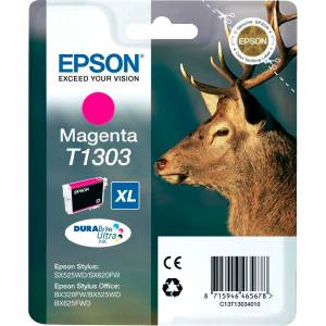 Картридж Epson C13T13034012