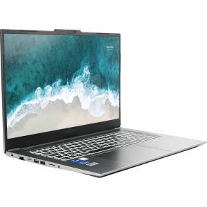 Ноутбук Nerpa Caspica I552-17 (I552-17VA165202G)