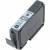 Картридж Canon PGI-9GY (1042B001) — для бизнеса и офиса Картридж Canon PGI-9GY (1042B001) — для бизнеса и офиса