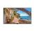 Дисплей Vestel UHM65UH82/4 Vestel UHM65UH82/4 — для бизнеса и офиса Дисплей Vestel UHM65UH82/4 Vestel UHM65UH82/4 — для бизнеса и офиса