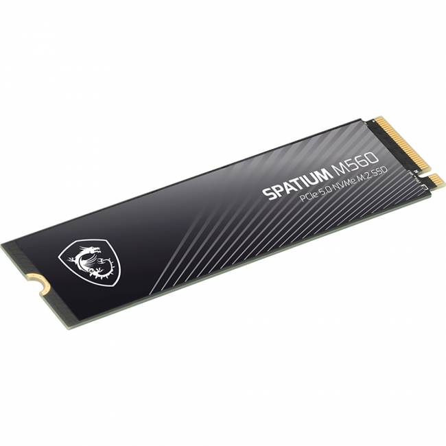 Твердотельный накопитель MSI SPATIUM M560 (S78-440L0F0-P83) — для бизнеса и офиса Твердотельный накопитель MSI SPATIUM M560 (S78-440L0F0-P83) — для бизнеса и офиса