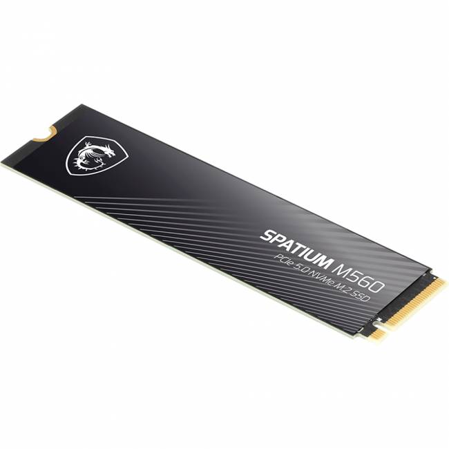 Твердотельный накопитель MSI SPATIUM M560 (S78-440L0F0-P83) — для бизнеса и офиса Твердотельный накопитель MSI SPATIUM M560 (S78-440L0F0-P83) — для бизнеса и офиса