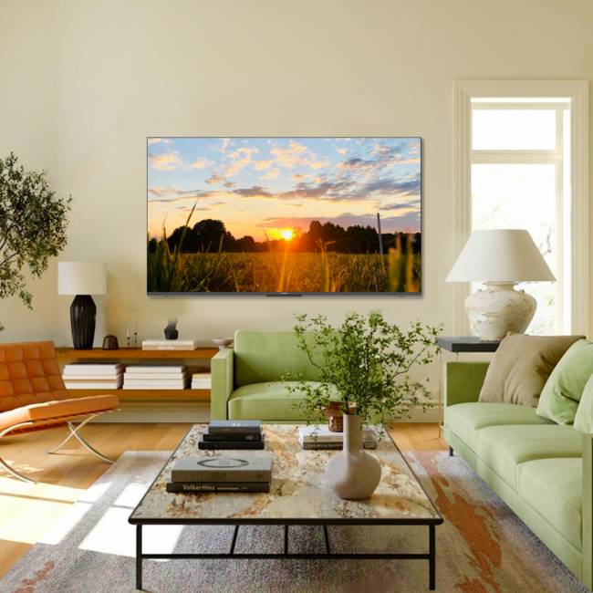 Телевизор ЖК 55'' Skyworth Skyworth 55X85G — для бизнеса и офиса Телевизор ЖК 55'' Skyworth Skyworth 55X85G — для бизнеса и офиса