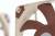 Кулер для корпуса Noctua NF-A12x15 PWM — для бизнеса и офиса