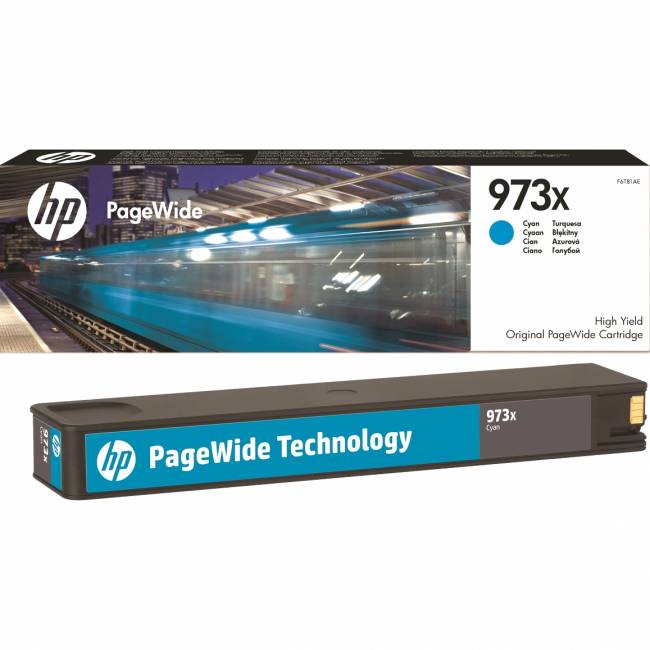Картридж HP F6T81AE — для бизнеса и офиса