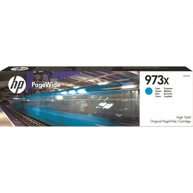 Картридж HP F6T81AE — для бизнеса и офиса