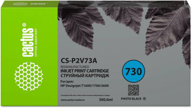 - Cactus CS-P2V73A — для бизнеса и офиса