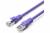 Патч-корд Vention прямой SFTP cat.6A, RJ45 - 0,3м. Фиолетовый Vention IBMVY — для бизнеса и офиса Патч-корд Vention прямой SFTP cat.6A, RJ45 - 0,3м. Фиолетовый Vention IBMVY — для бизнеса и офиса