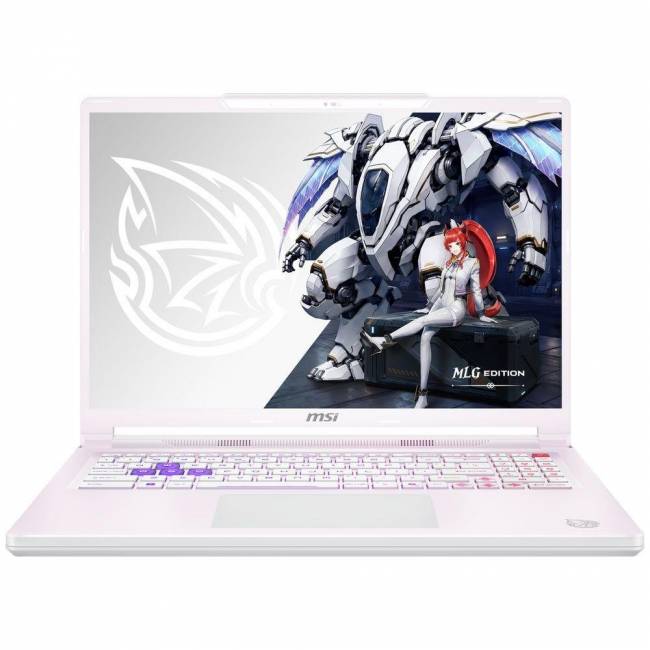 Ноутбук MSI 9S7-265L54-089 — для бизнеса и офиса