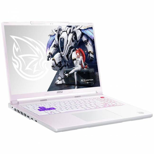 Ноутбук MSI 9S7-265L54-089 — для бизнеса и офиса