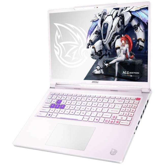 Ноутбук MSI 9S7-265L54-089 — для бизнеса и офиса