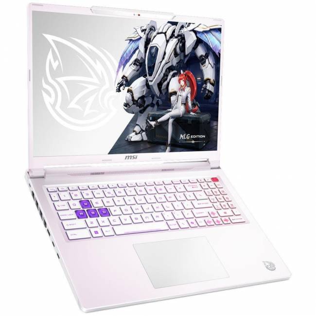 Ноутбук MSI 9S7-265L54-089 — для бизнеса и офиса