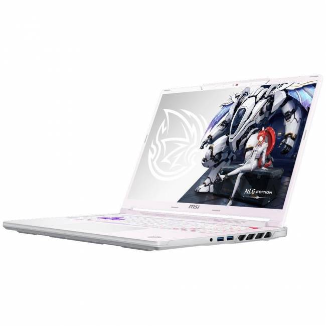 Ноутбук MSI 9S7-265L54-089 — для бизнеса и офиса