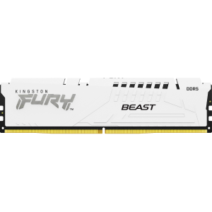 Память оперативная Kingston FURY Beast KF560C30BWE-16