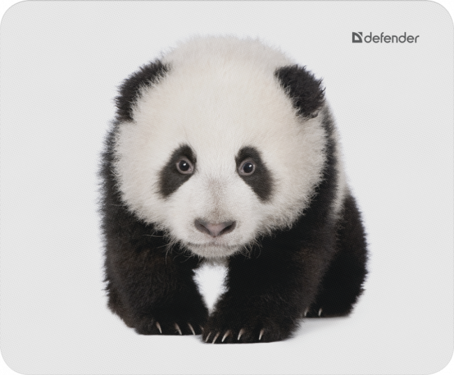 Defender Коврик для компьютерной мыши Wild Animals 220x180x2 мм, 8 видов Defender Wild Animals — для бизнеса и офиса Defender Коврик для компьютерной мыши Wild Animals 220x180x2 мм, 8 видов Defender Wild Animals — для бизнеса и офиса
