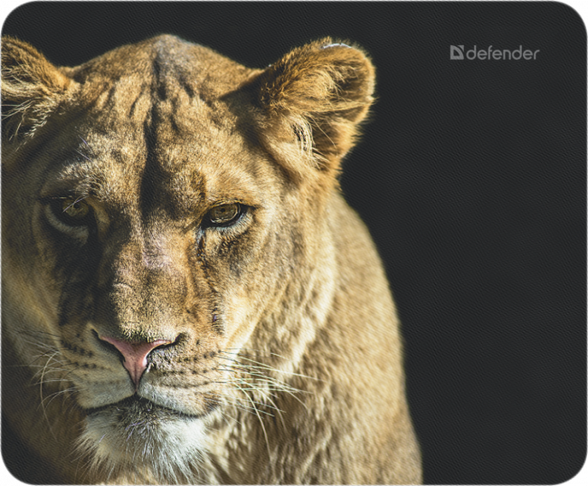 Defender Коврик для компьютерной мыши Wild Animals 220x180x2 мм, 8 видов Defender Wild Animals — для бизнеса и офиса Defender Коврик для компьютерной мыши Wild Animals 220x180x2 мм, 8 видов Defender Wild Animals — для бизнеса и офиса