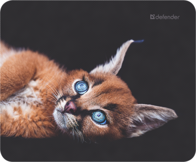 Defender Коврик для компьютерной мыши Wild Animals 220x180x2 мм, 8 видов Defender Wild Animals — для бизнеса и офиса Defender Коврик для компьютерной мыши Wild Animals 220x180x2 мм, 8 видов Defender Wild Animals — для бизнеса и офиса