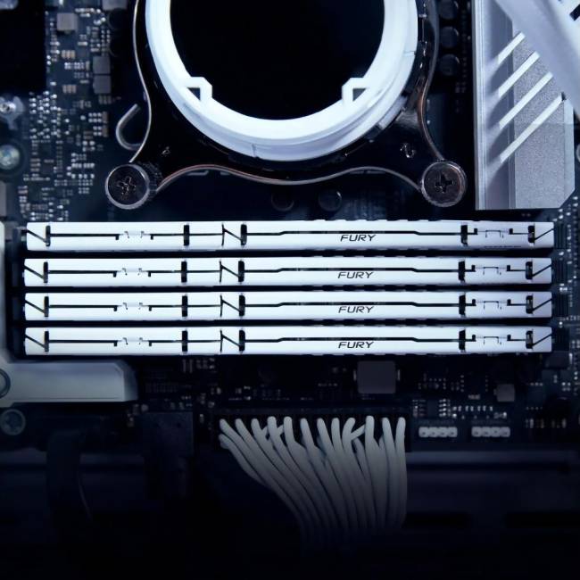 Память оперативная Kingston FURY Beast KF556C40BWK4-64 — для бизнеса и офиса Память оперативная Kingston FURY Beast KF556C40BWK4-64 — для бизнеса и офиса