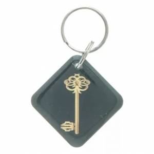 Заготовка ключа для домофона RFID мини-карта 'Золотой ключ' чёрный