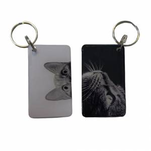 Заготовка ключа для домофона RFID мини-карта 'Кошка'