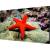 Тонкошовная ЖК панель 55", 1080P, 500 кд/м2, шов: 0.88 мм, входы: VGA/DVI/DP/HDMI, выходы: DP/HDMI, поддержка 4K Hikvision DS-D2055LR-G — для бизнеса и офиса Тонкошовная ЖК панель 55", 1080P, 500 кд/м2, шов: 0.88 мм, входы: VGA/DVI/DP/HDMI, выходы: DP/HDMI, поддержка 4K Hikvision DS-D2055LR-G — для бизнеса и офиса