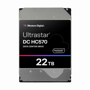 Жесткий диск WD Ultrastar DC HC570 WUH722222ALE604
