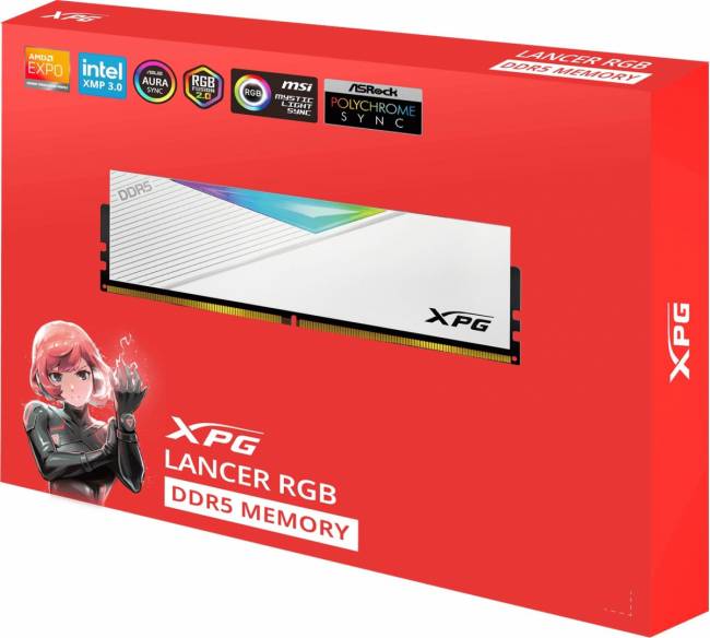 Память DDR5 2x16GB 6000MHz ADATA AX5U6000C3016G-DCLARWH — для бизнеса и офиса
