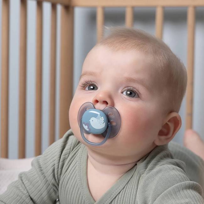 Пустышка ultra soft, птичка, 6-18 мес., 1 шт. AVENT SCF092/04 — для бизнеса и офиса Пустышка ultra soft, птичка, 6-18 мес., 1 шт. AVENT SCF092/04 — для бизнеса и офиса