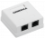 Настенная информационная розетка RJ45 8P8C, кат.5Е UTP, 2-порта, белая ITK CS2-1C5EU-22 — для бизнеса и офиса Настенная информационная розетка RJ45 8P8C, кат.5Е UTP, 2-порта, белая ITK CS2-1C5EU-22 — для бизнеса и офиса
