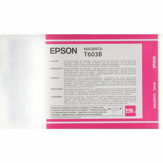 Картридж Epson C13T603B00 — для бизнеса и офиса
